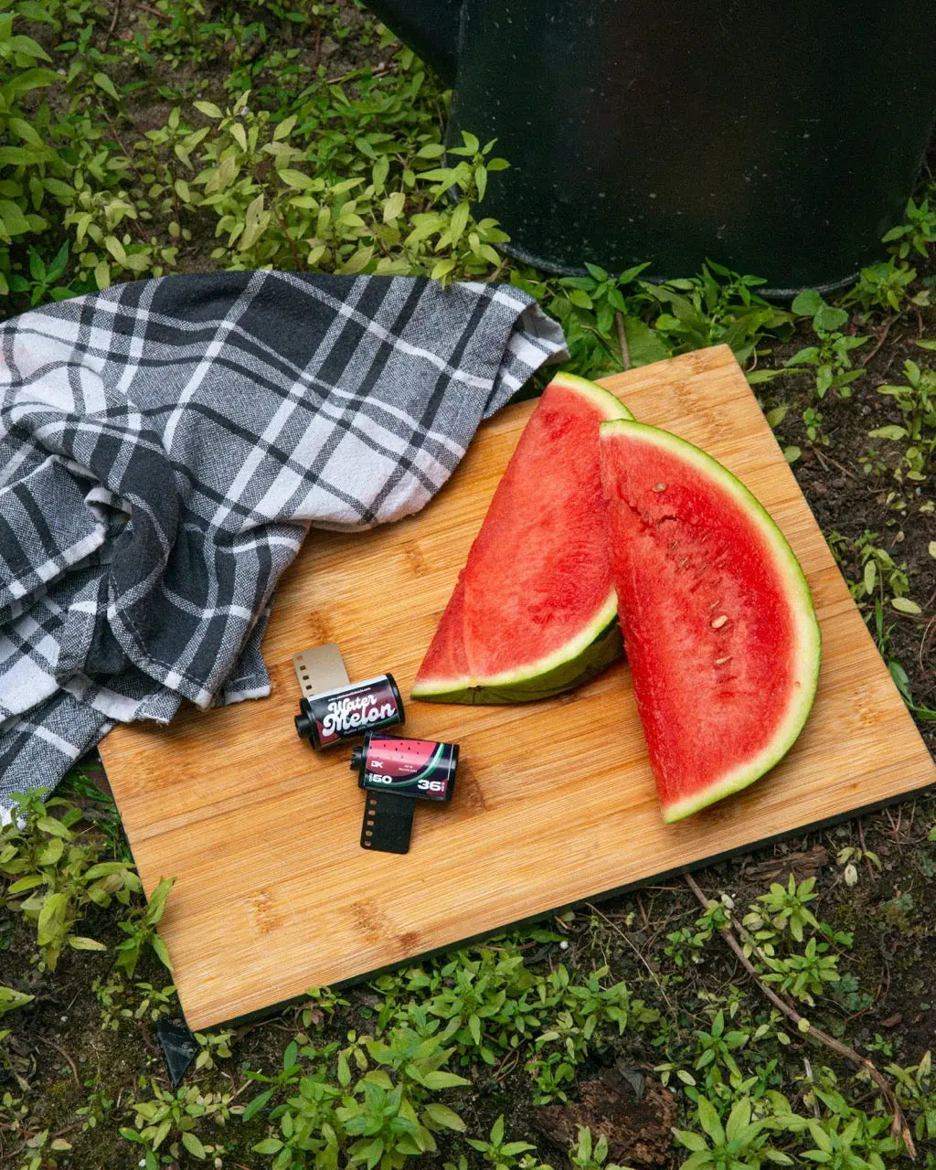 ECN-2 Water Melon 50 ISO – 135/36 Film Roll – 35mm film roll gallery view 4 of 8