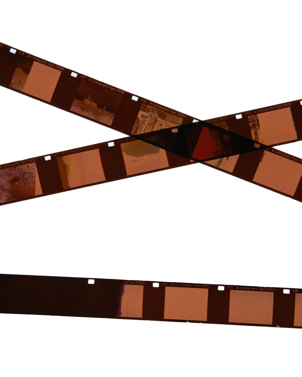 Colour negative film being processed with C-41 chemistry in Berlin