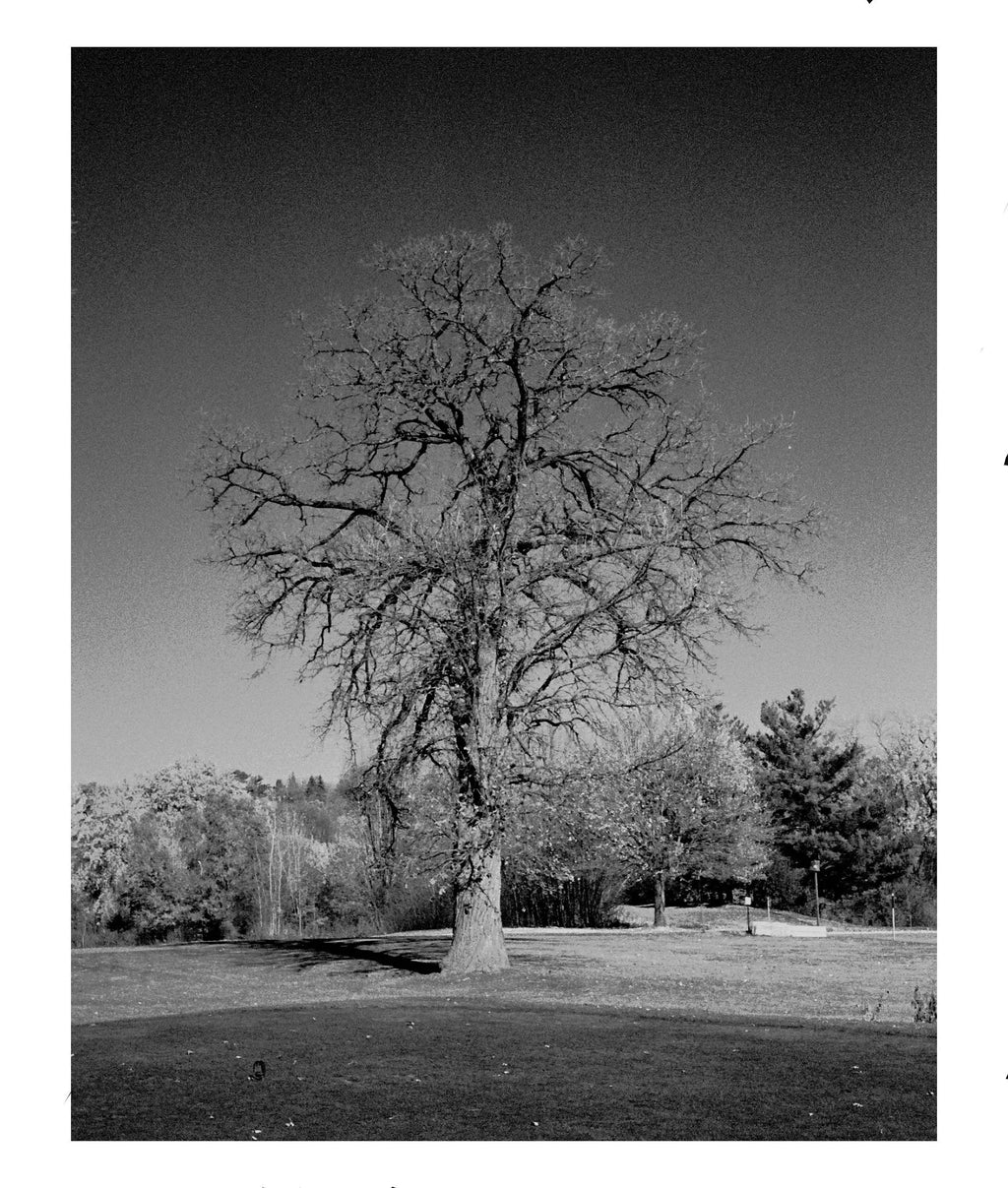 Yashica MF-2 Super DX – 35毫米胶片相机 – 模拟相机画廊第6张，共7张