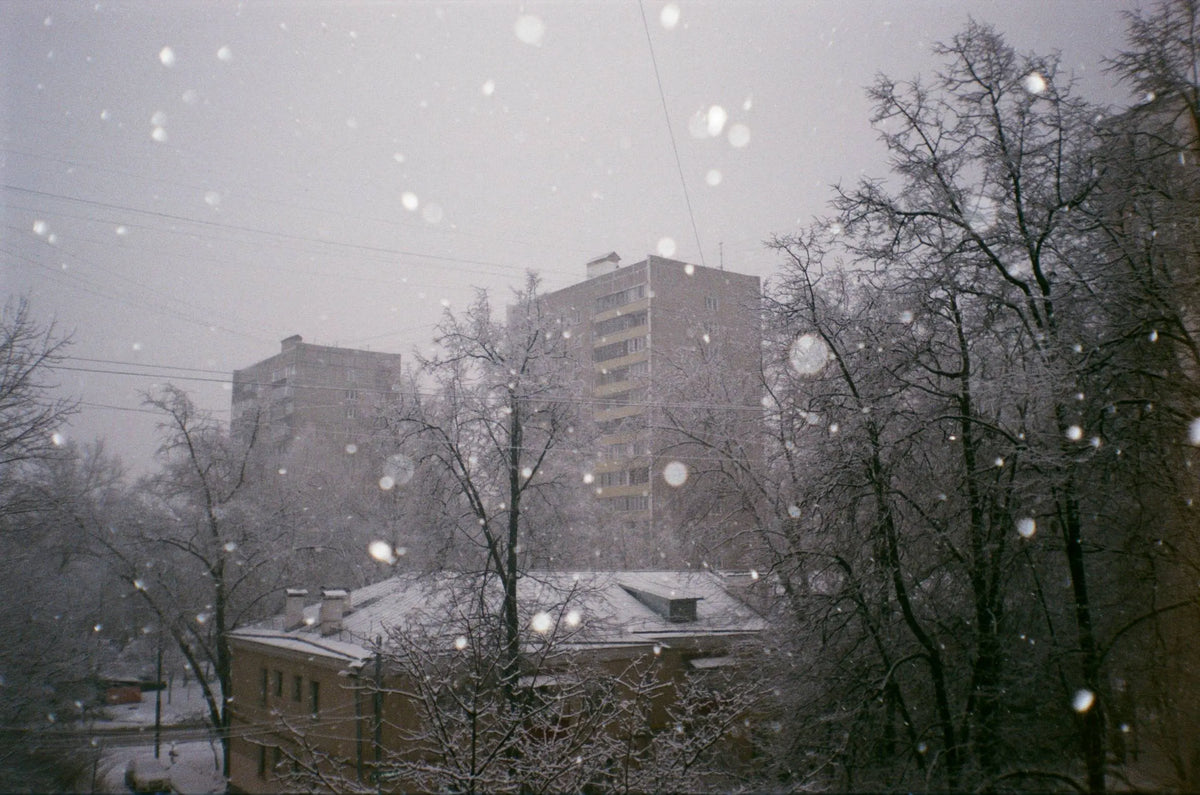 Olympus Trip MD3 – analogue camera gallery view 5 of 5
