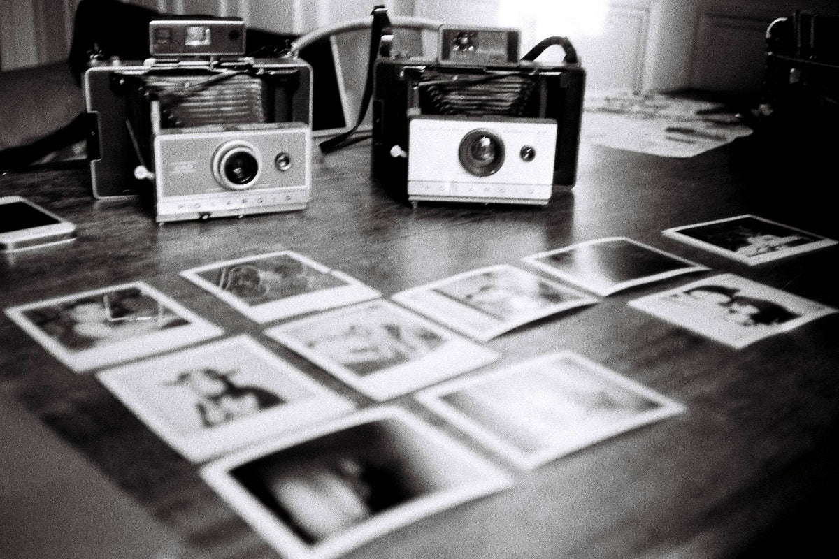Polaroid 215 Automatic – Cámara plegable vintage de packfilm – cámara analógica vista 6 de 9 de la galería