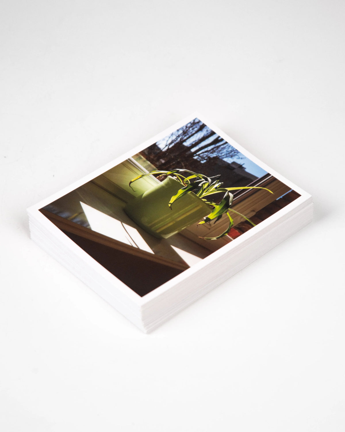 Photo printing in Berlin on Fujicolor Supreme HD paper – Berlin Photo Studio