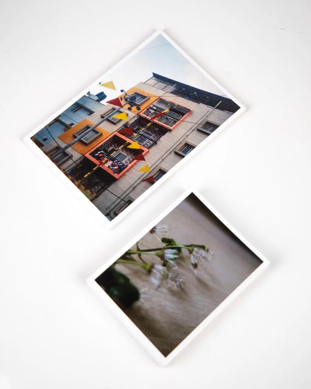 Colour photo printing service in Berlin – Berlin Photo Studio