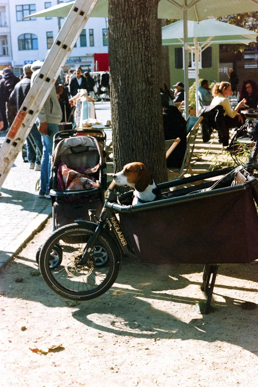 ECN-2 125T – 135/36 Kodak Vision3 500T Cinematic Film – Photo Studio Berlin