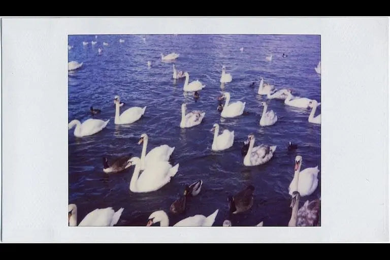Polaroid Vision – Vintage Autofocus Instant SLR Camera – analogue camera gallery view 4 of 7