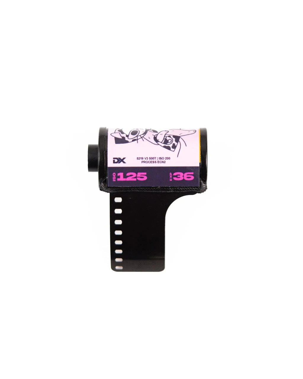 ECN-2 125T – 135/36 Kodak Vision3 500T Cinematic Film – Photo Studio Berlin