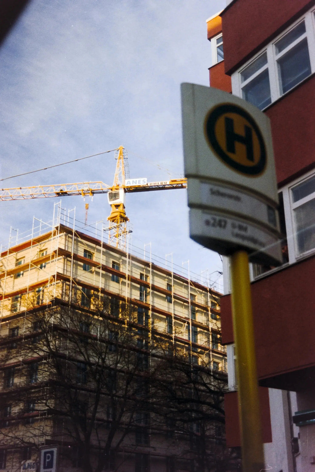 ECN2/C41 – Berlin Photo Studio 250D – 135/36 Daylight Film - Photo Studio Berlin