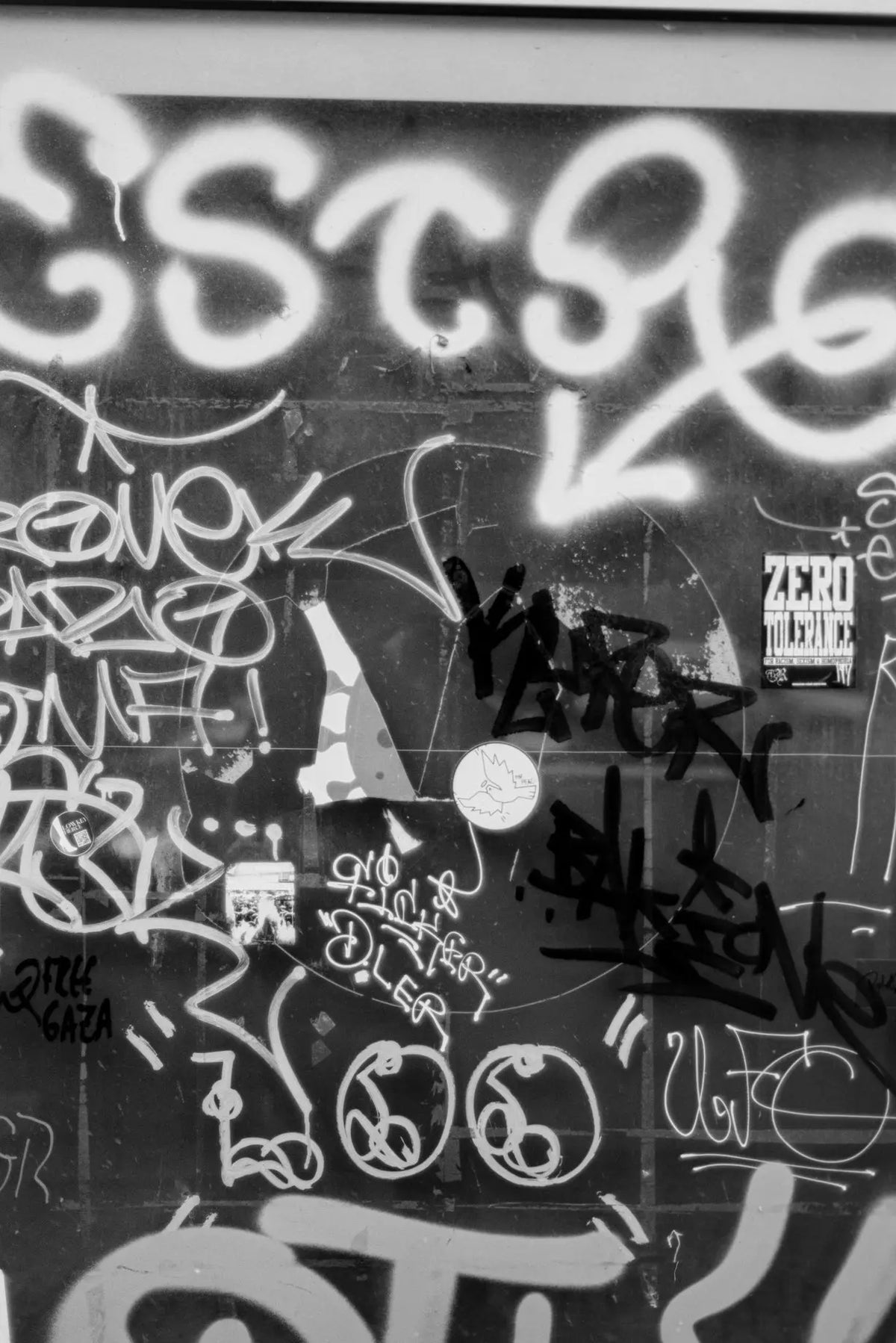 DAIDO 6 ISO film photography sample by Emiliano Vittoriosi