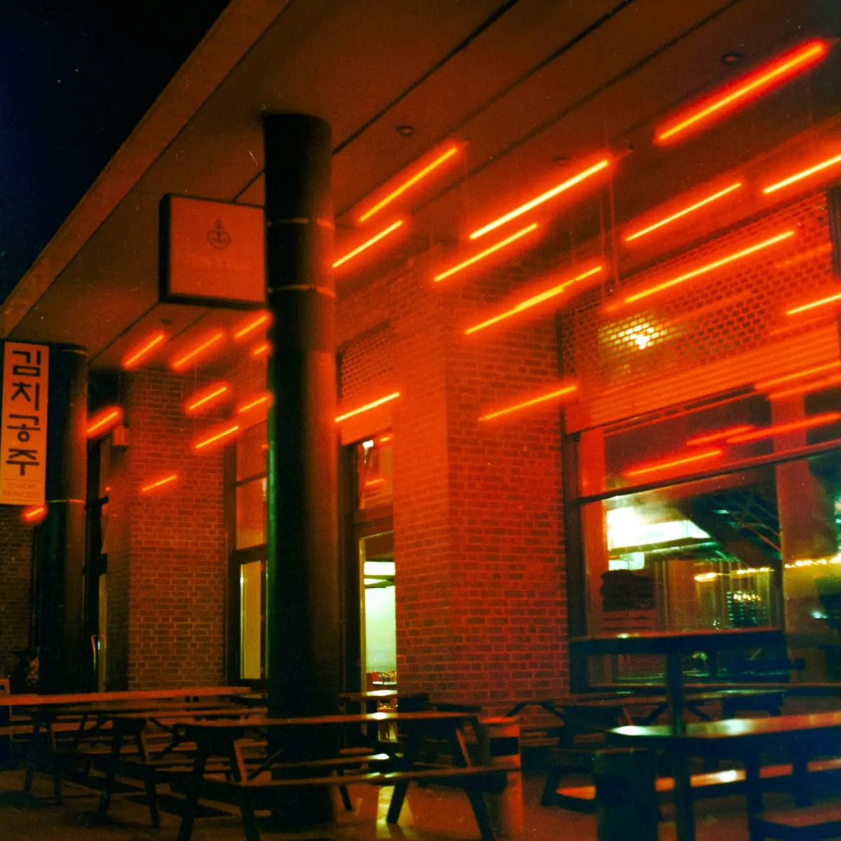 CineStill 800T – 120 Medium Format - Color Film - Photo Studio Berlin