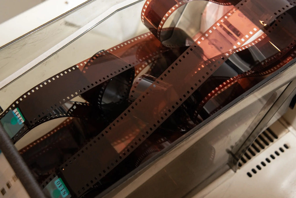 Developed colour negatives inside the film processor